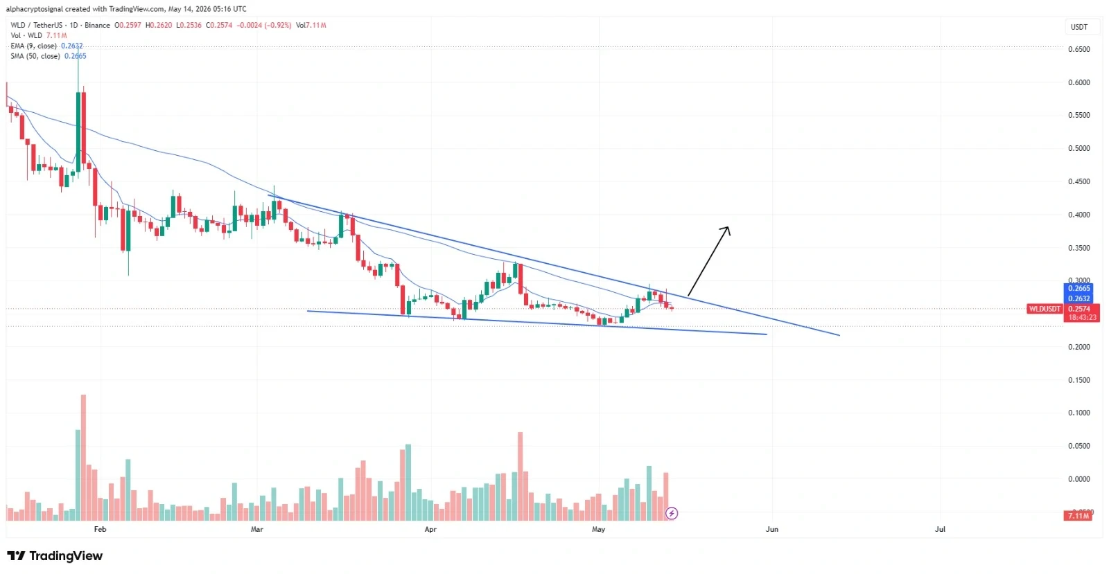 WLD price prediction