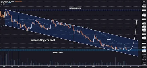 IOTA Price Rebound Signals Potential Recovery
