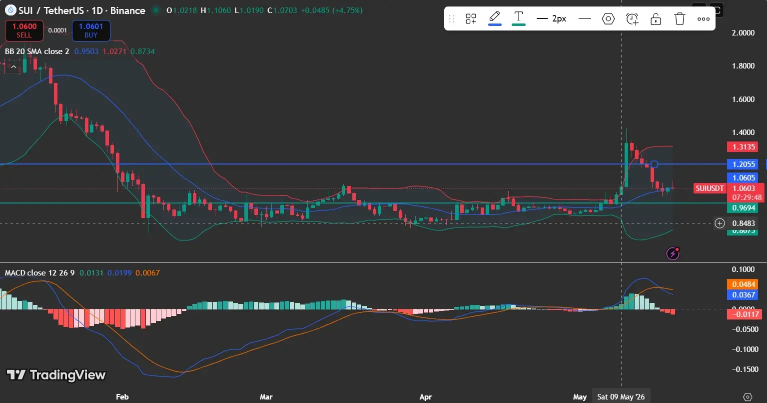 SUI Price Holds $0.97 Support