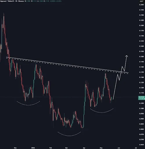 ALGO Forms Potential Reversal Pattern as Support Holds
