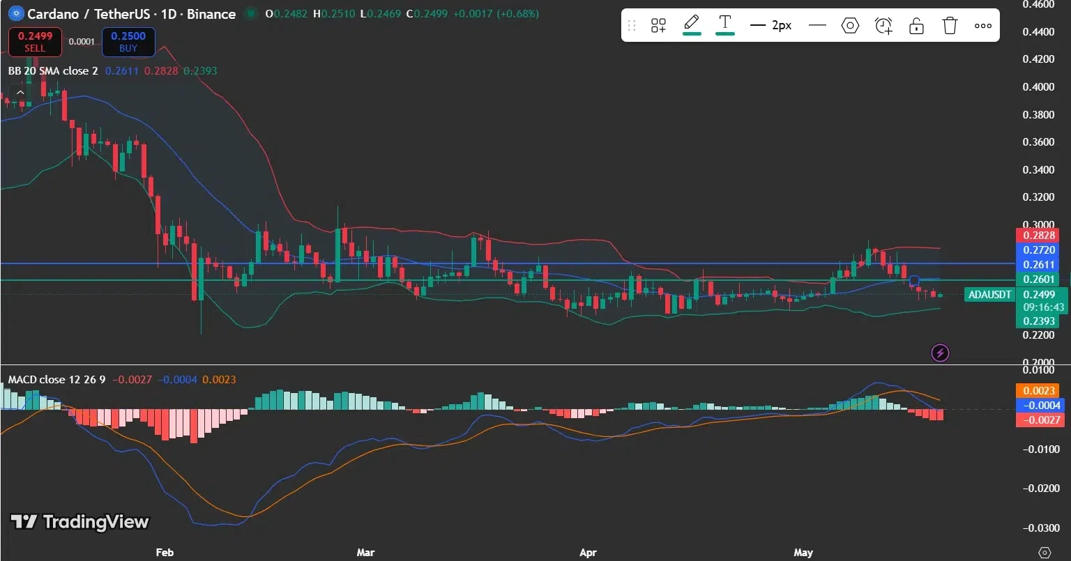 ADA Price Stabilizes Near $0.25