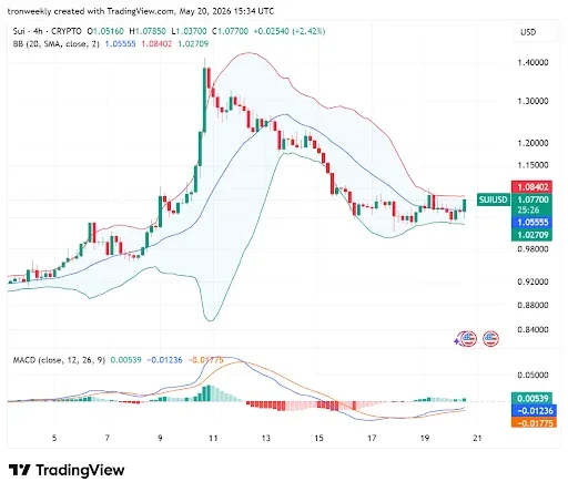 Technical Indicators Point to a Consolidation Phase