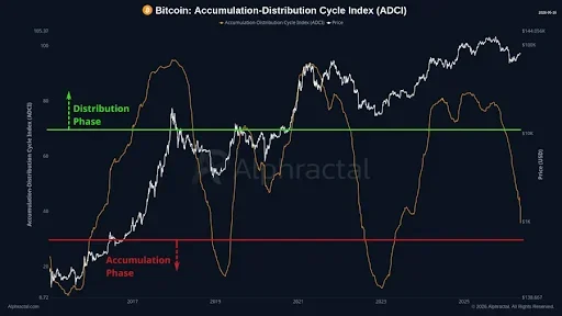 Bitcoin Cycle Indicators Reveal Market Position