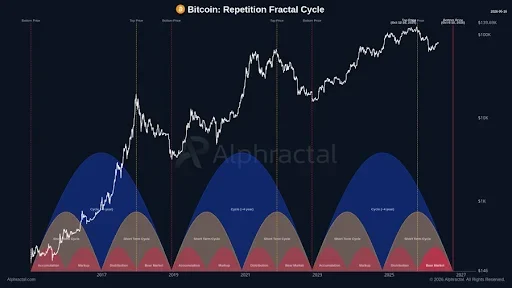 Bitcoin Cycle Indicators Reveal Market Position
