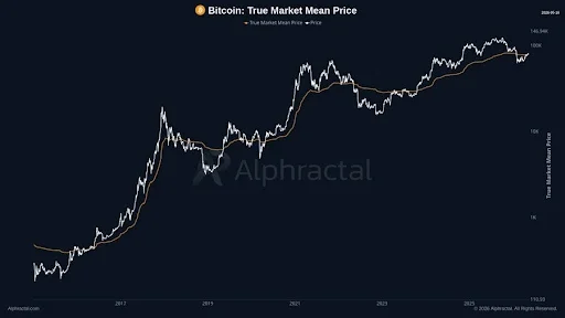 Cost Basis Metrics Track Bitcoin Market Transitions