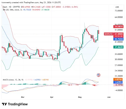 Technical Indicators Point to Upward Potential
