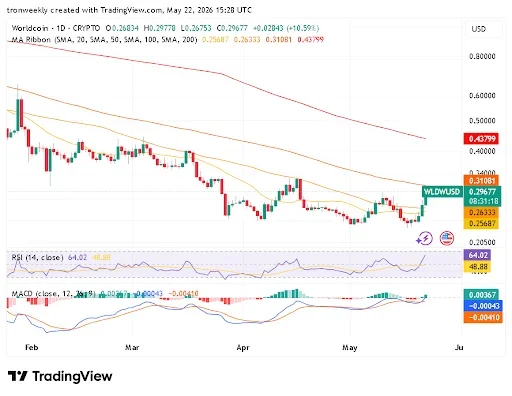 WLD Price Rally Shows Strength