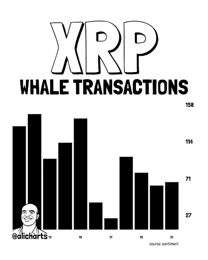 XRP Price Compression and Whale Activity Trends