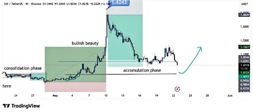 SUI Price Eyes Recovery as Bulls Defend Key Support