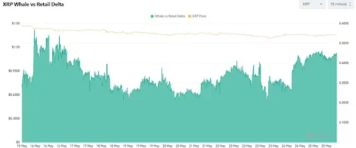 Whale vs Retail Data Shows Hidden Accumulation Pressure