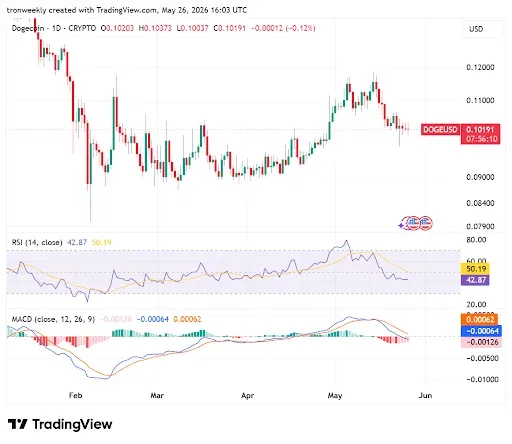 Dogecoin Price Structure Reveals a Cooling-Off Period