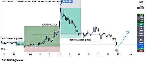 SUI Price Analysis