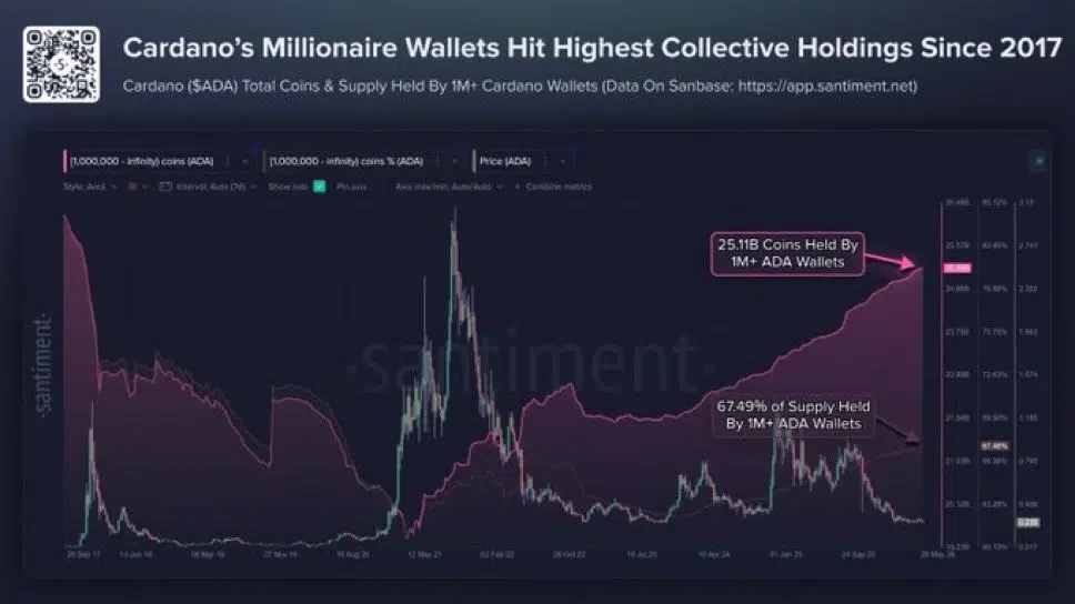 Cardano Whales Hit Record ADA Holdings Since 2017 