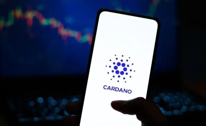 Cardano community
