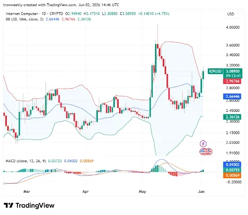 MACD Bullish Crossover Point to Upward Potential