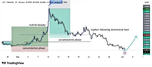 SUI Price Holds Critical Support After Downtrend