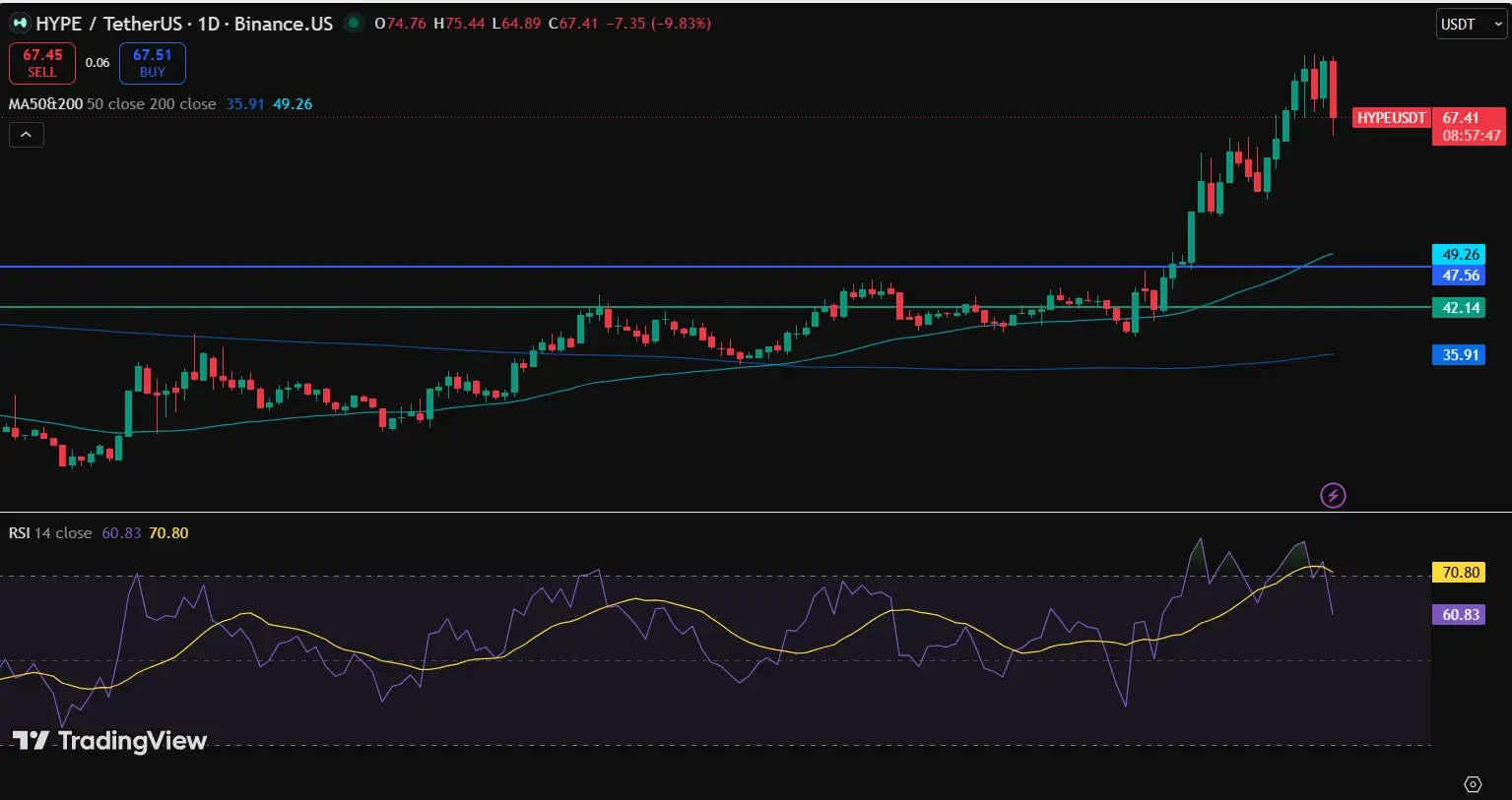 What does the HYPE Price Chart tell us?