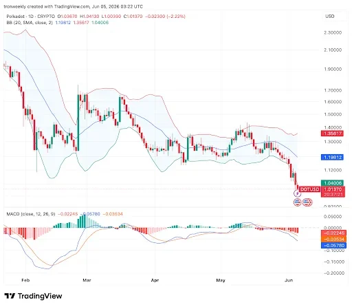 DOT Bears Remain in Control Below Key Support