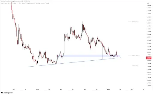 JASMY Price Holds Support Amid Bearish Pressure