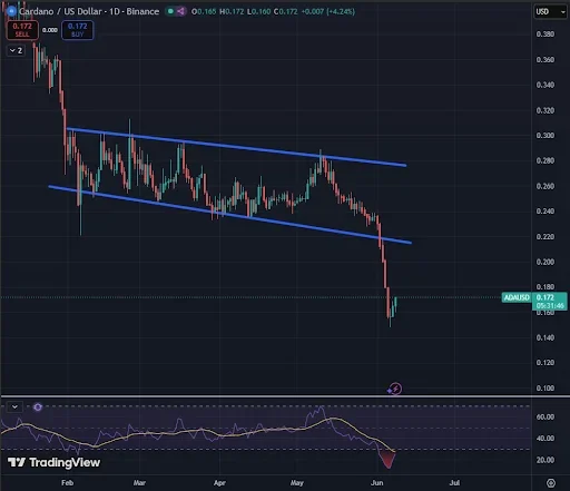 ADA Price Bounce Targets $0.22 Recovery Level