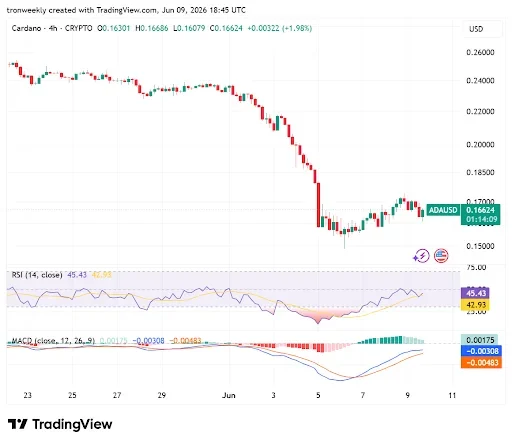 Momentum Indicators Point to Improving Momentum