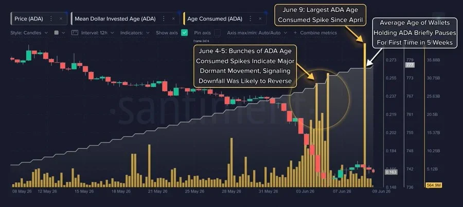 Dormant Cardano tokens return to activity