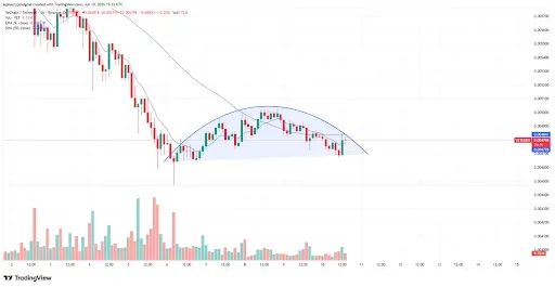 VET price analysis