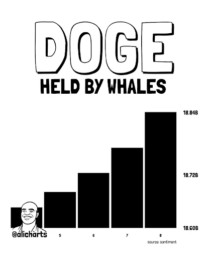 Dogecoin Sees Whale Accumulation Spike This Week