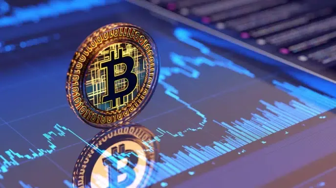 Bitcoin bottom