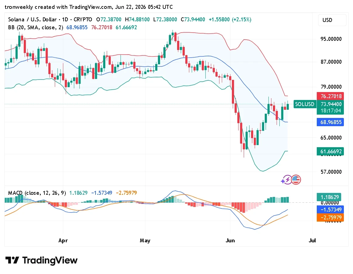 SOL technical analysis chart