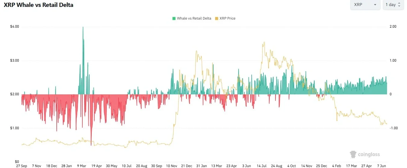 XRP Whale Activity