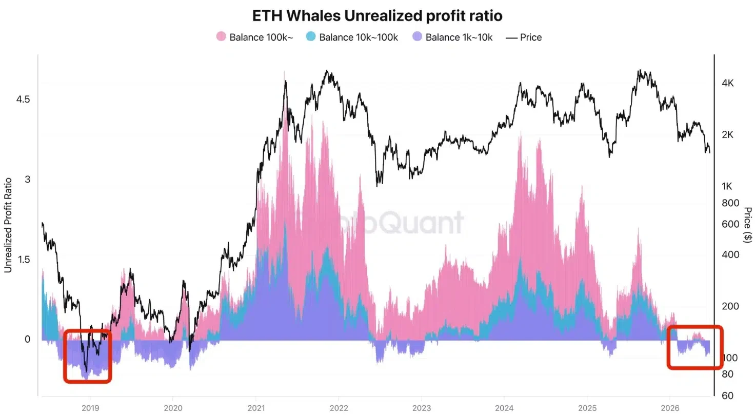 eth whales unrealized profit ratio