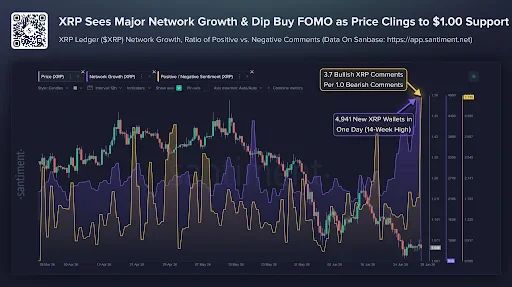 XRP Network Activity Jumps as Bulls Defend $1