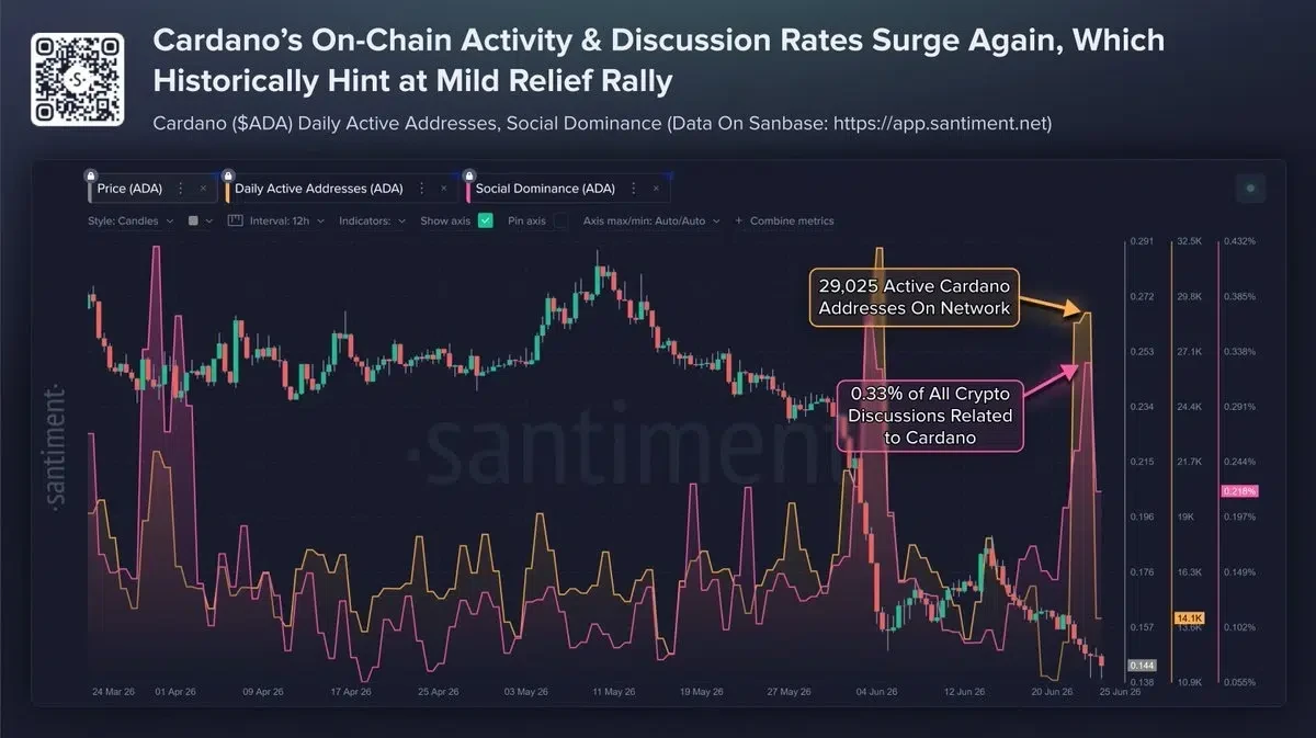 Cardano's onchain activity