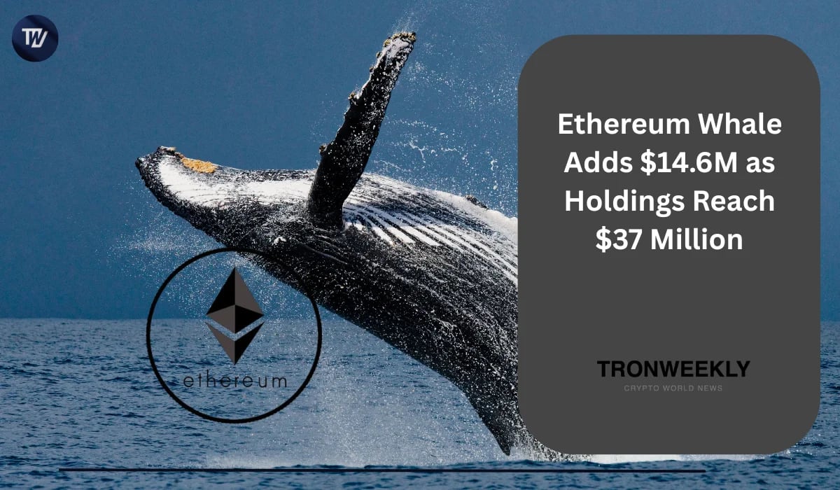 Ethereum Whale Adds $14. 6M As Holdings Reach $37 Million