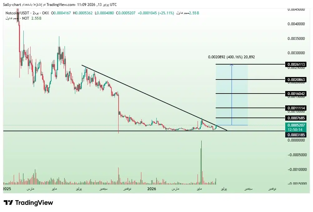 Notcoin price prediction
