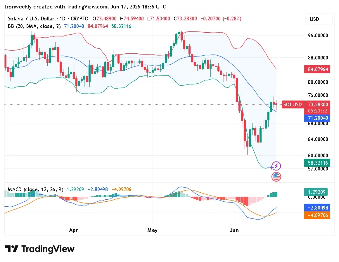 SOL technical analysis chart