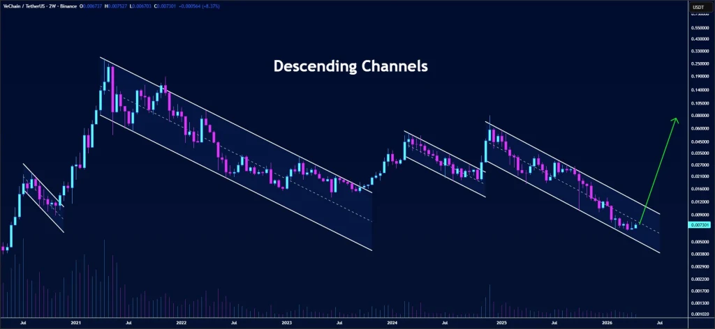 VET price analysis