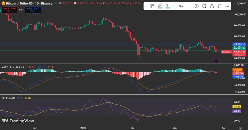 Bitcoin price analysis chart
