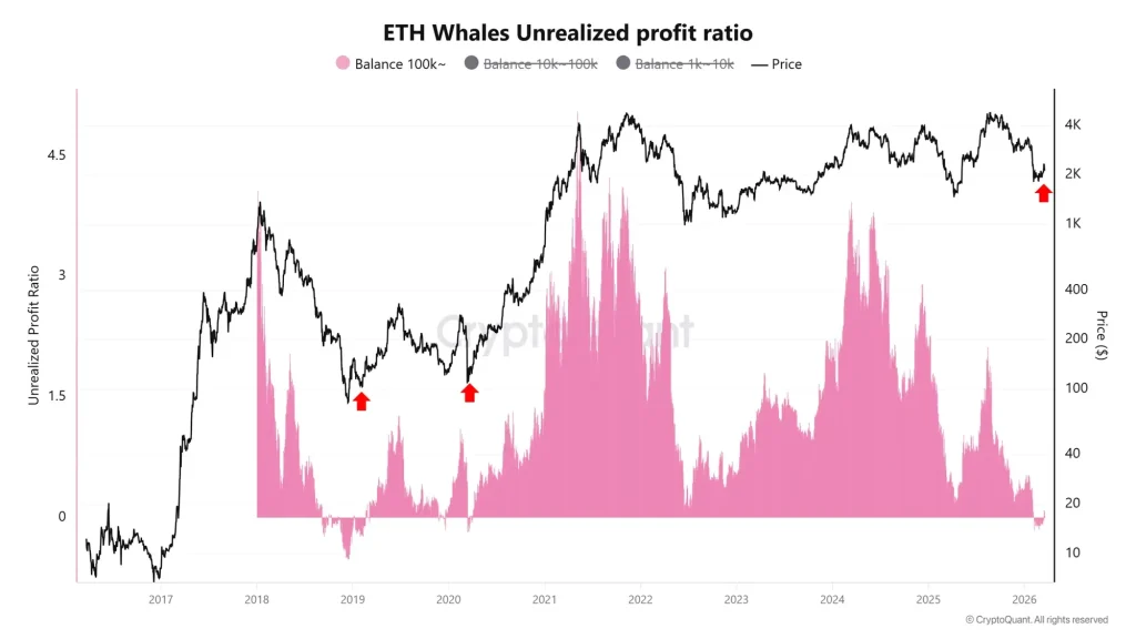 Ethereum whale unrealized profit ratio chart showing large holders returning to profitability and accumulation trends