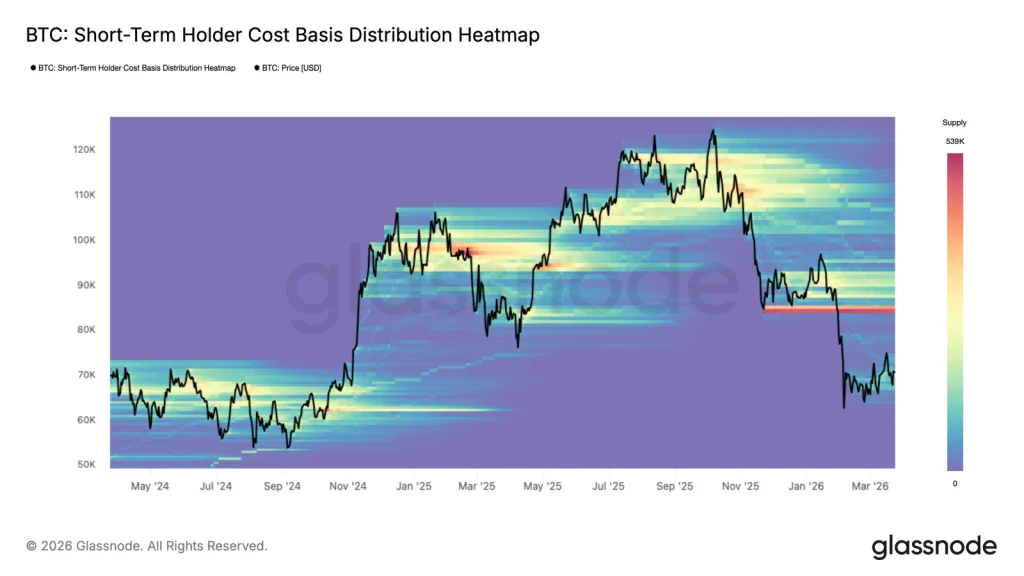 BTC short term holders chart