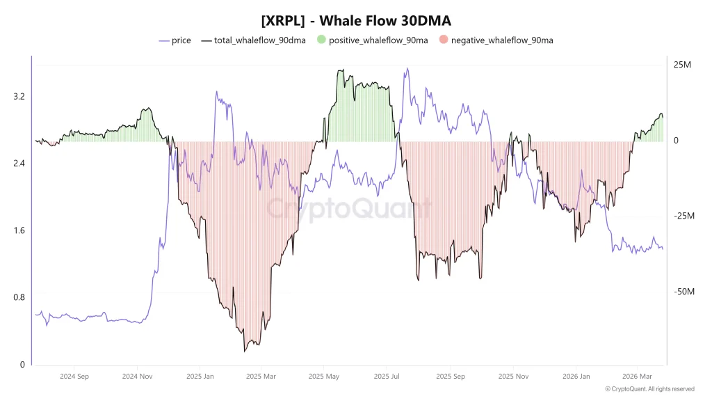 XRP whale flows
