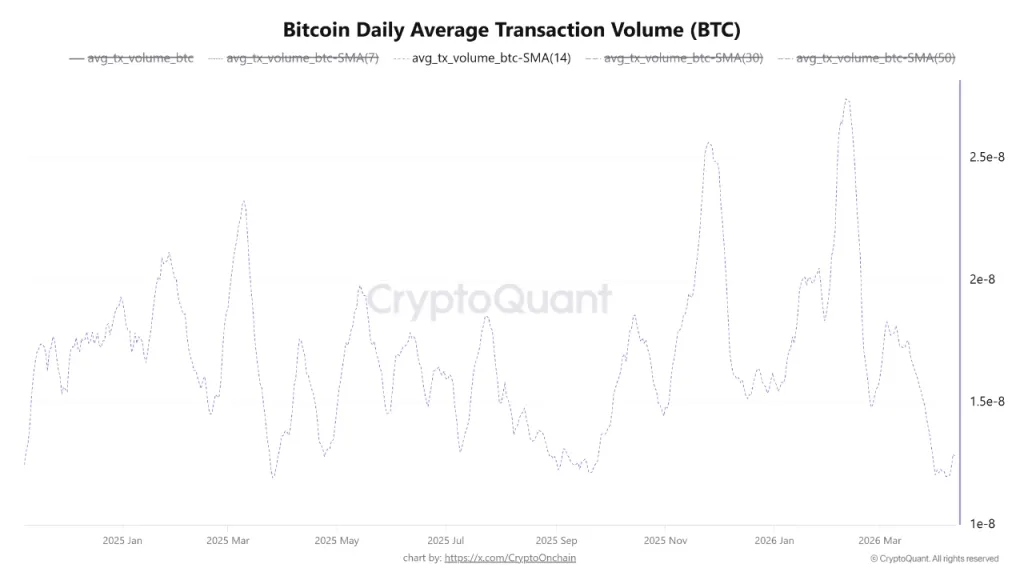 Bitcoin transaction volume hits multi-year low showing weak on-chain activity and market participation