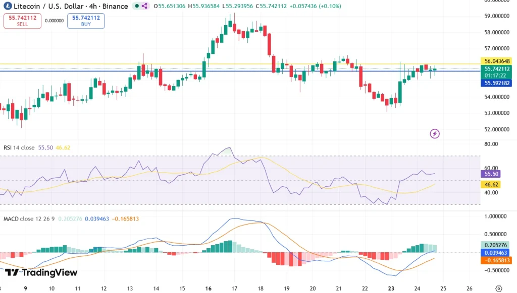 Litecoin price analysis