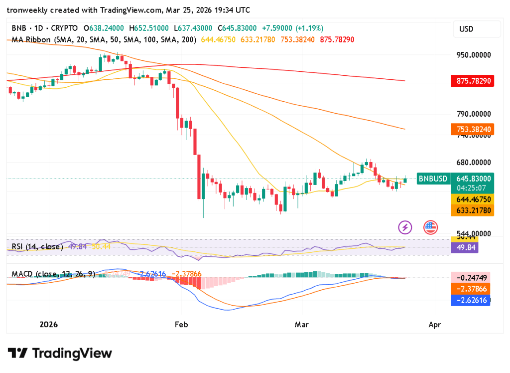 BNB technical indicator chart
