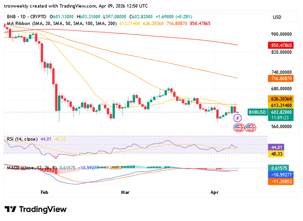 BNB technical indicator chart