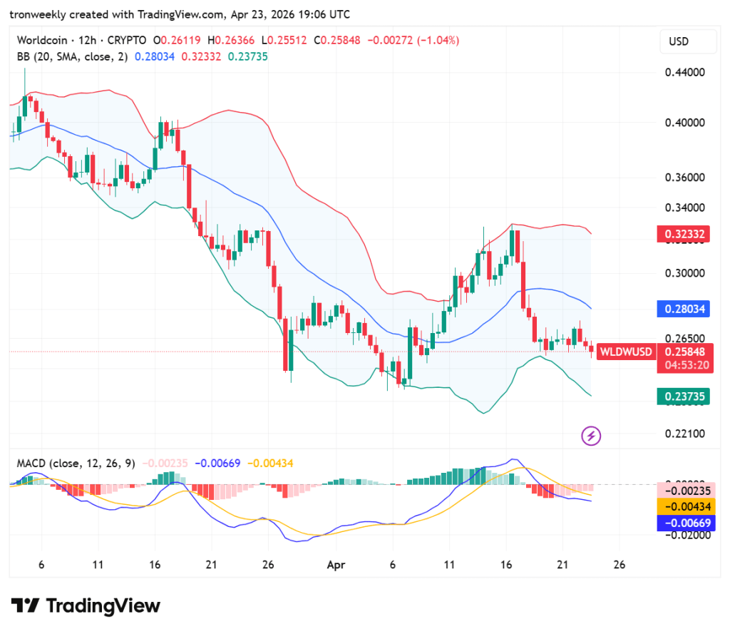 WLD price analysis