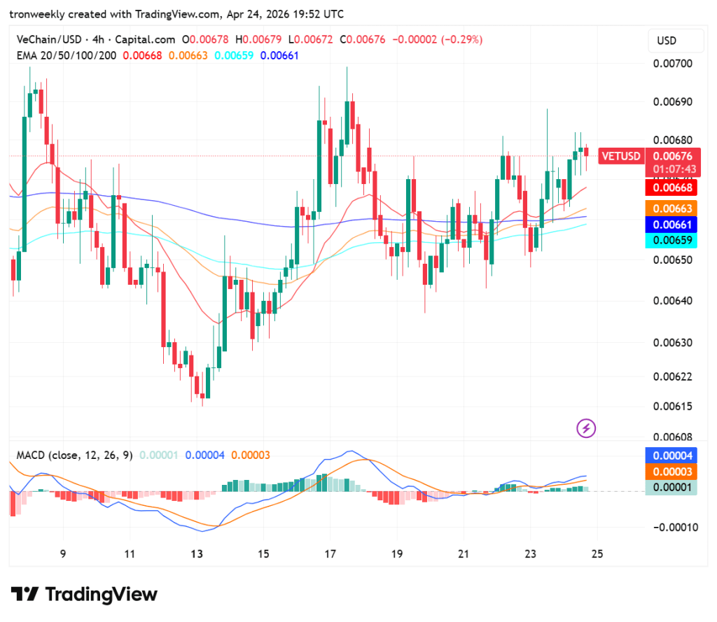 VET price analysis