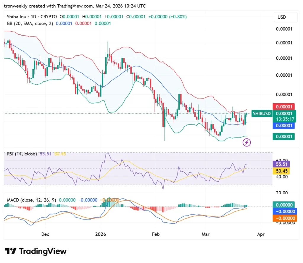SHIB Price Analysis