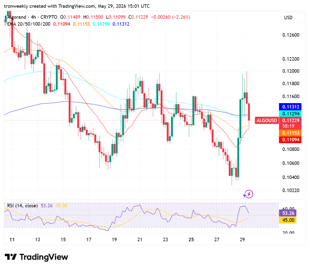 ALGO Derivative Data Point to Increasing Momentum